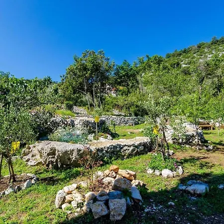 Apartman With Parking Space Korita, Mljet - 22342 Korita